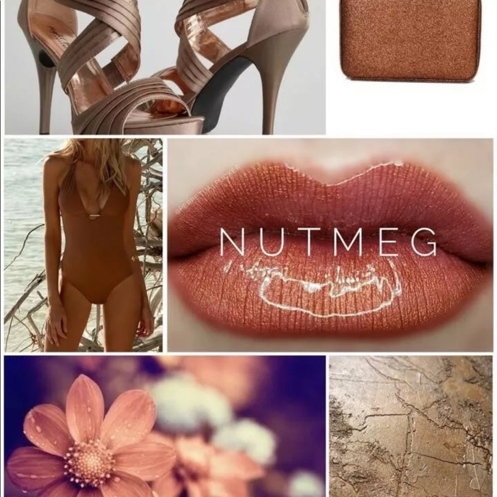 Retired NutMeg Lipsense